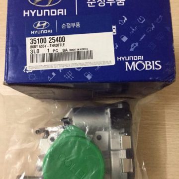 Cá»¥m bÆ°á»m ga Hyundai Santafe