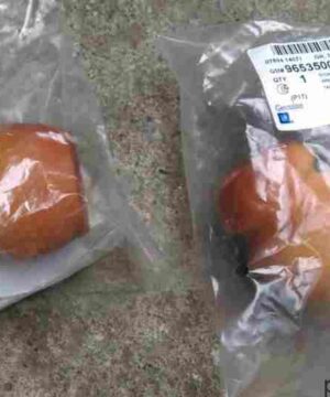 Tăm bông giảm xóc trước Daewoo Gentra, Chevrolet Aveo