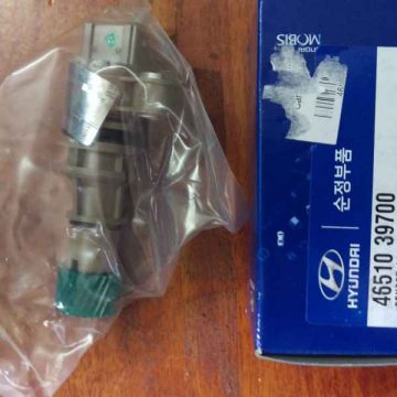 Sâu công tơ mét Hyundai Santafe