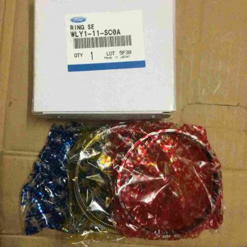 XÃ©c mÄng cos 0 Ford Ranger