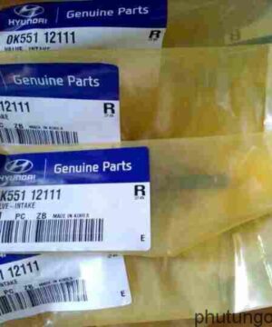 Xupap xả Kia Bongo 3