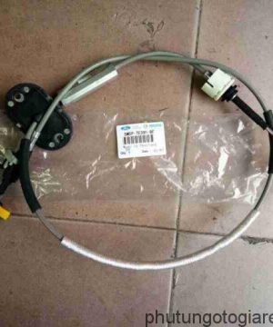 Dây đi số Ford Focus