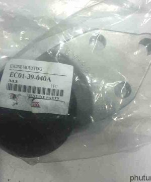 Chân máy sau Ford Escape