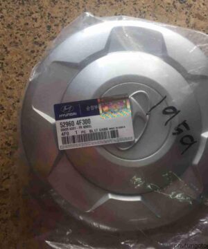 Ốp la zăng bánh trước Hyundai Porter 2