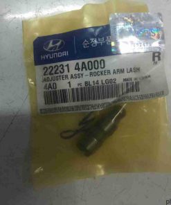 Con đội Hyundai Starex, Porter 2, Kia Bongo 3