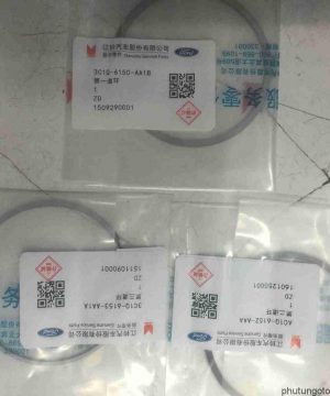 Xéc măng Ford Transit