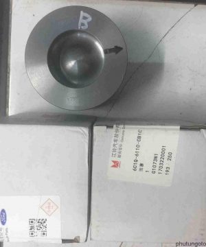 Pít tông Ford Transit