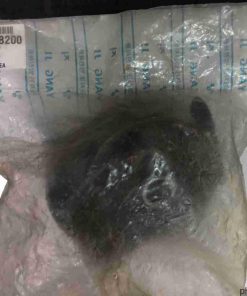 Chân máy két nước Hyundai Santafe