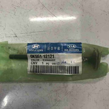 Xu pÃ¡p xáº£ Kia Bongo 3, Carnival, Hyundai Terracan