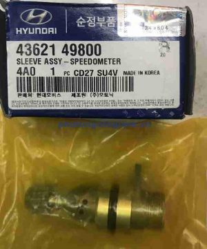 Sâu công tơ mét Hyundai Starex, Libero