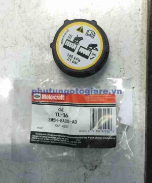 Nắp bình nước phụ Ford Fiesta, Focus