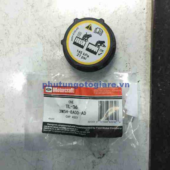 Náº¯p bÃ¬nh nÆ°á»c phá»¥ Ford Fiesta, Focus