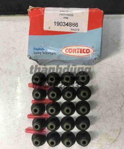 Phớt git BMW 3 series