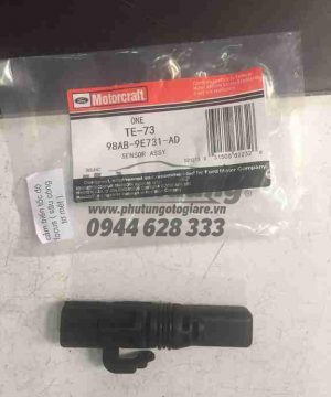 Sâu công tơ mét Ford Fiesta, Focus