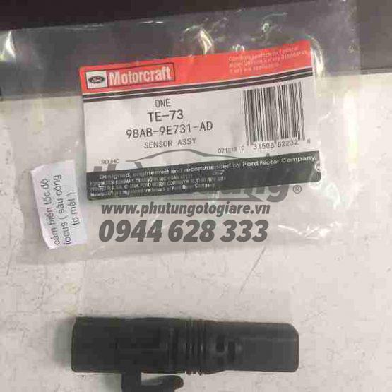 SÃ¢u cÃ´ng tÆ¡ mÃ©t Ford Fiesta, Focus