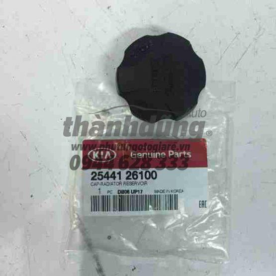 Náº¯p bÃ¬nh nÆ°á»c phá»¥ Hyundai Accent, Getz, Verna, Kia Morning