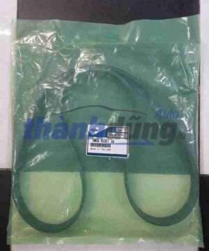 DÂY CUROA TỔNG FORD FOCUS