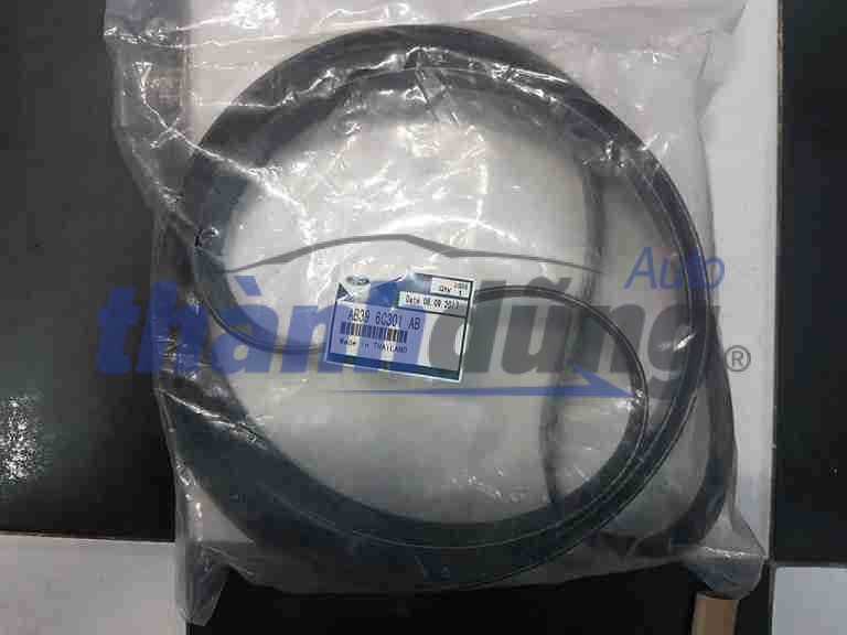 DÂY CUROA TỔNG FORD RANGER