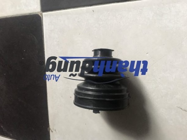 CAO SU CHỤP BỤI LÁP TRONG FORD FOCUS