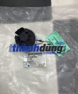 VAN TUẦN HOÀN KHÍ XẢ CHEVROLET CAPTIVA-25183476