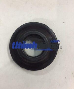 CAO SU BÁT BÈO SUZUKI 5 TẠ, CARRY