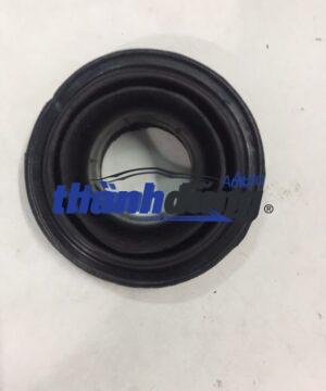 CAO SU BÁT BÈO SUZUKI 5 TẠ, CARRY