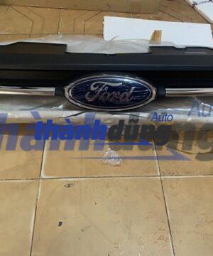 CA LĂNG FORD TOURNEO