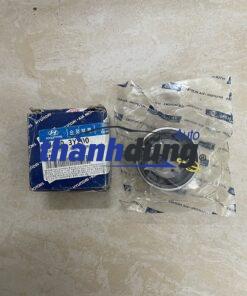 BI TỲ CAM KIA CARNIVAL