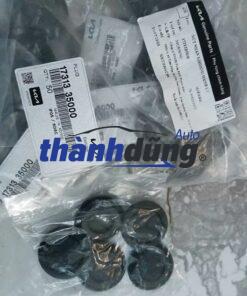 CAO SU HỐC LỐP KHOANG HÀNH LÝ KIA SEDONA