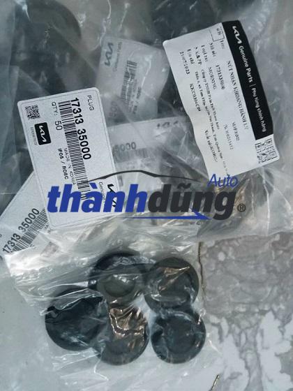 CAO SU HỐC LỐP KHOANG HÀNH LÝ KIA SEDONA