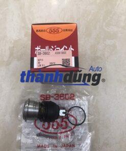 ROTUYN CÀNG A TOYOTA YAGO