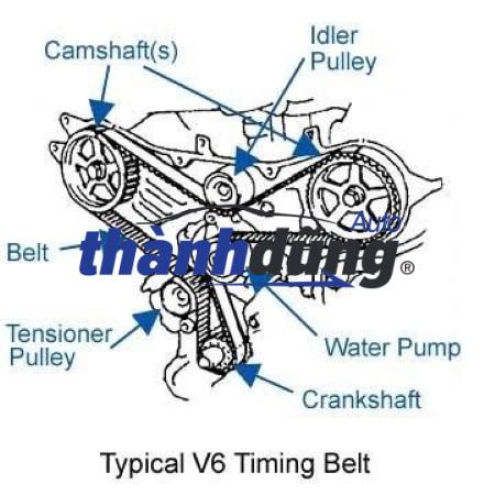 BẠC ĐẠN TĂNG CAM FIAT ALBEA - Ảnh 3