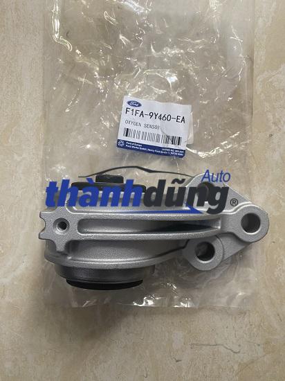 CHÂN MÁY THƯỚC LÁI FORD ESCAPE