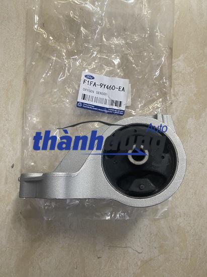 CHÂN MÁY THƯỚC LÁI FORD ESCAPE