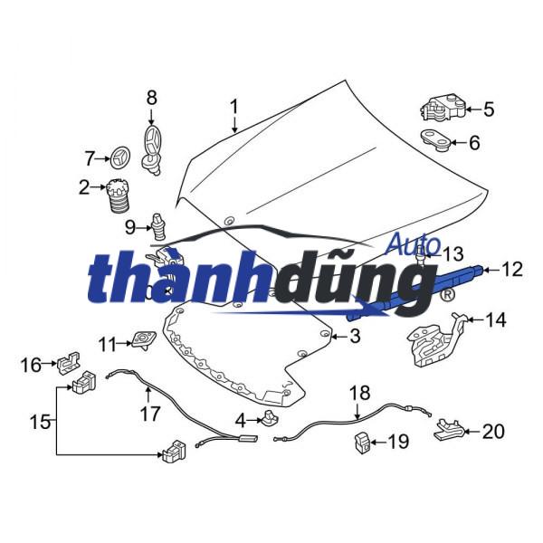 TY CHỐNG NẮP CAPO LEXUS RX270 - Ảnh 3