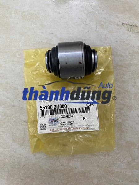 CAO SU NGÕNG MAY Ơ KIA CARNIVAL