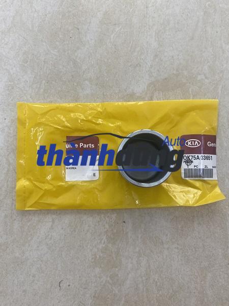 PÍT TÔNG PHANH KIA BONGO 3