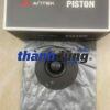 PISTON THACO OLLIN 700B | YZ4105ZLQP