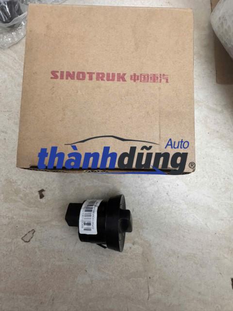Công tắc Sinotruk HOWO A7 | WG9918580039