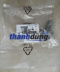 BU LÔNG TẮC KÊ PEUGEOT 207 | 9817024580