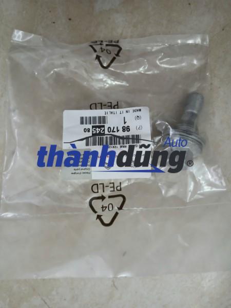 BU LÔNG TẮC KÊ PEUGEOT 207 | 9817024580