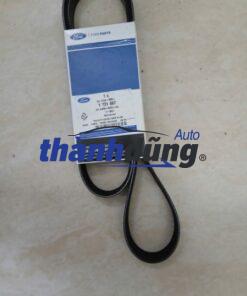 DÂY CUROA TỔNG FORD FOCUS 2007 | AM556C301AA