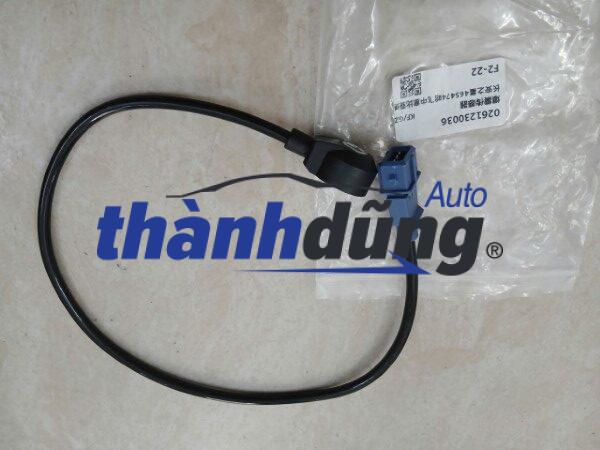 CẢM BIẾN KÍCH NỔ SYM T880 2009-2013 | 0261230036