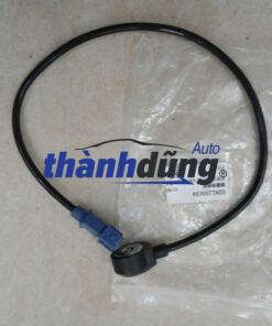 CẢM BIẾN KÍCH NỔ SYM T880 2009-2013 | 0261230036
